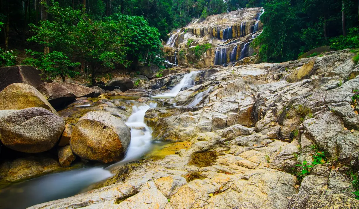 Rainforests, caves, and national parks